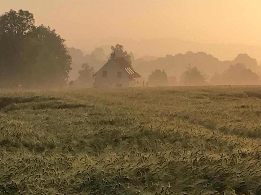 Kompas Gite Ellezelles Exterior foto